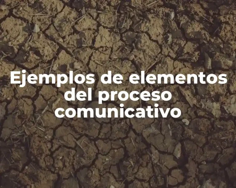 Ejemplos de elementos del proceso comunicativo