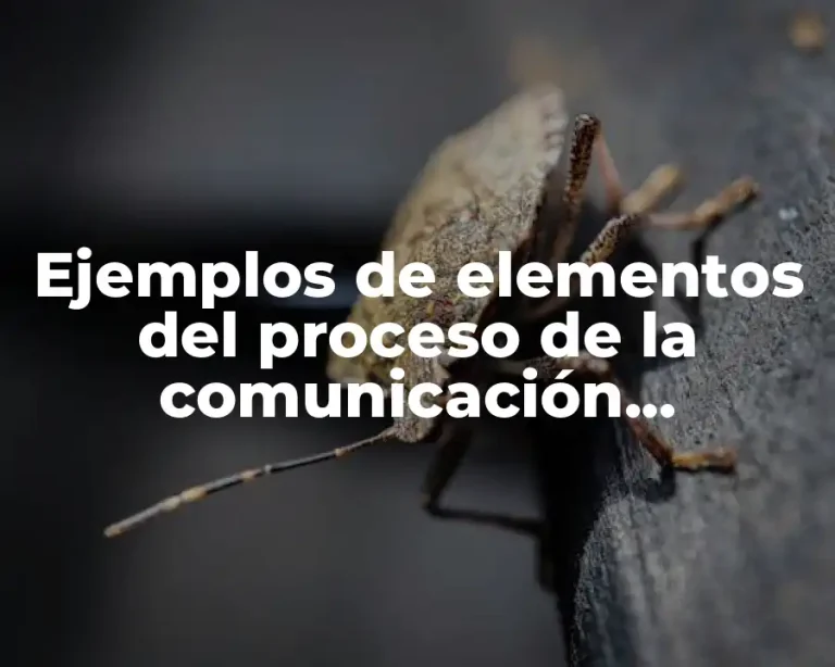 Ejemplos de elementos del proceso de la comunicación funciones lingüísticas y Significado