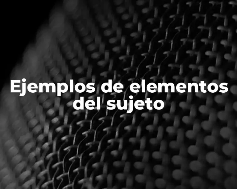 Ejemplos de elementos del sujeto