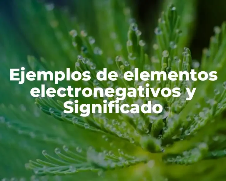 Ejemplos de elementos electronegativos y Significado