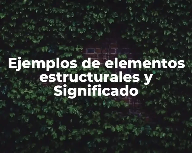 Ejemplos de elementos estructurales y Significado