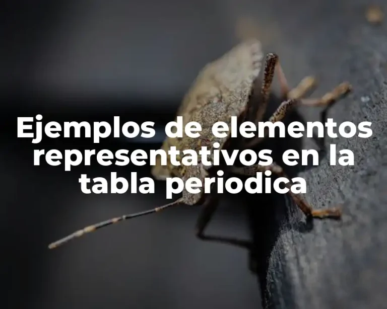 Ejemplos de elementos representativos en la tabla periodica