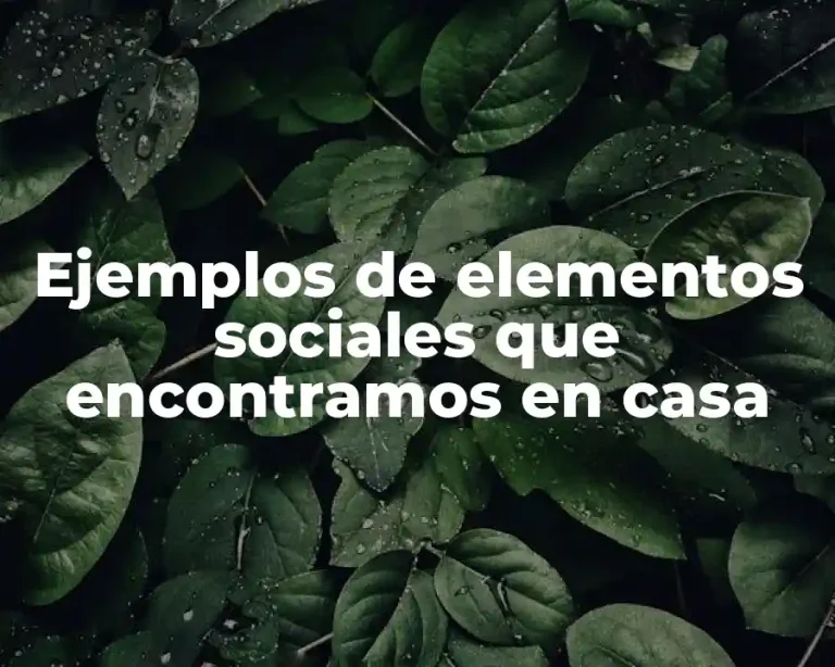 Ejemplos de elementos sociales que encontramos en casa