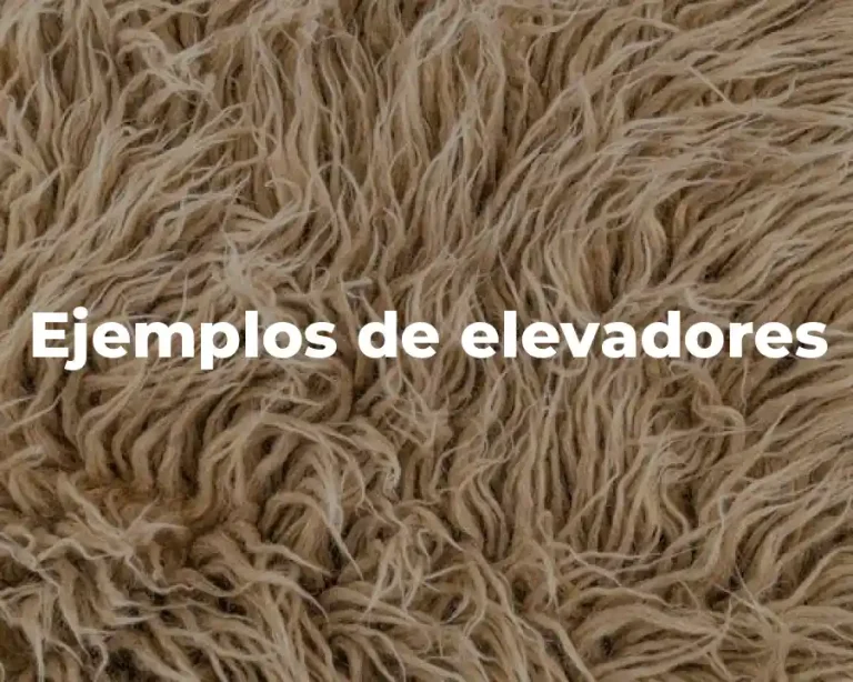 Ejemplos de elevadores