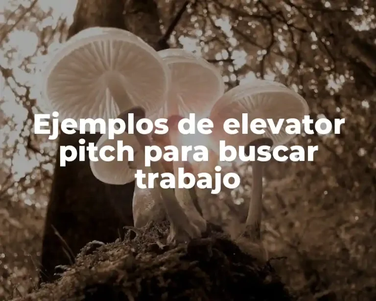 Ejemplos de elevator pitch para buscar trabajo