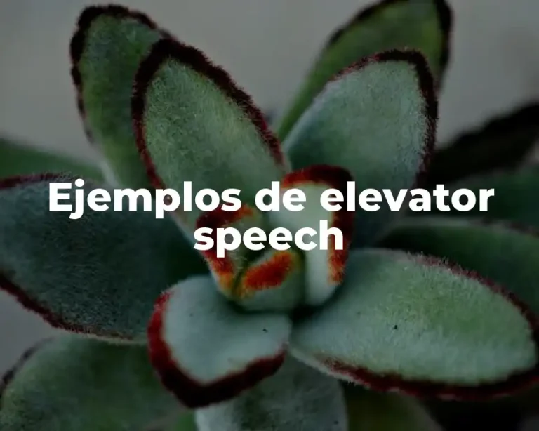 Ejemplos de elevator speech