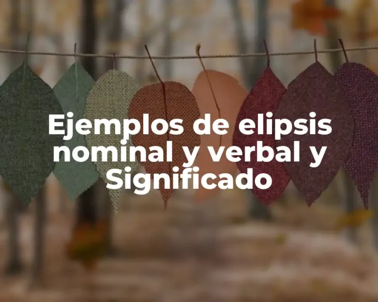 Ejemplos de elipsis nominal y verbal y Significado