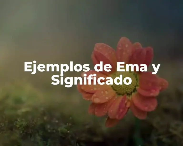 Ejemplos de Ema y Significado