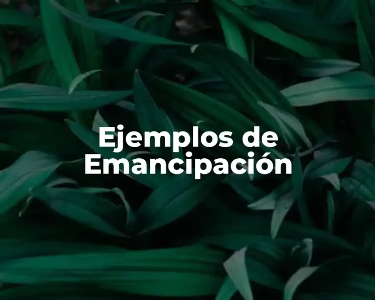 Ejemplos de Emancipación