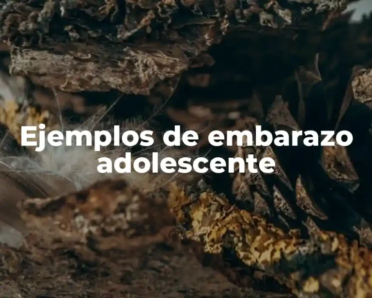 Ejemplos de embarazo adolescente