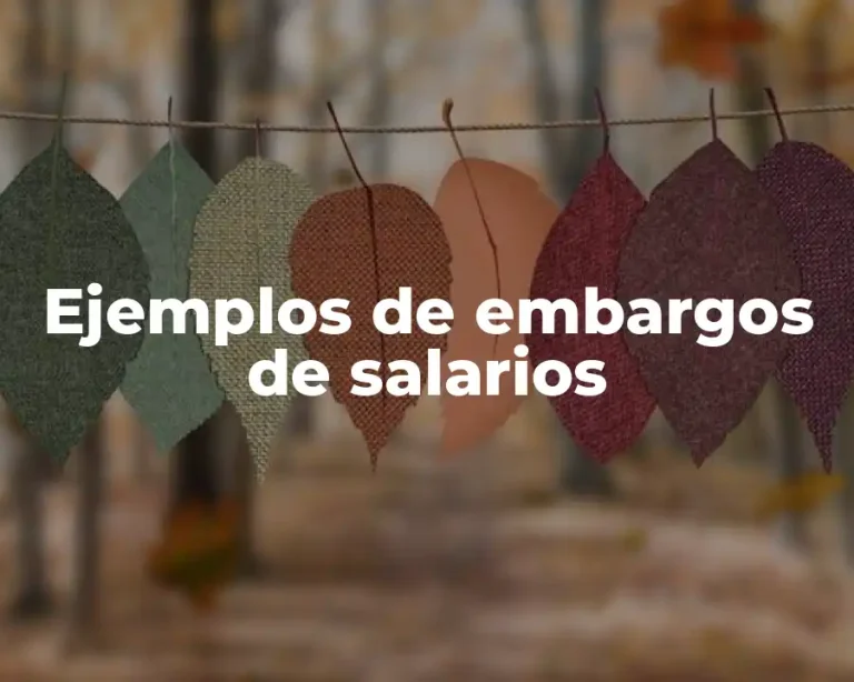 Ejemplos de embargos de salarios