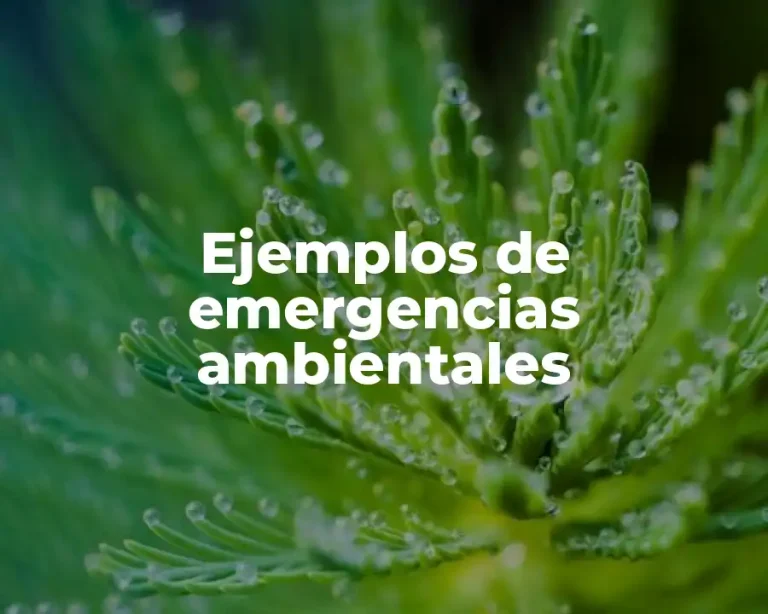 Ejemplos de emergencias ambientales