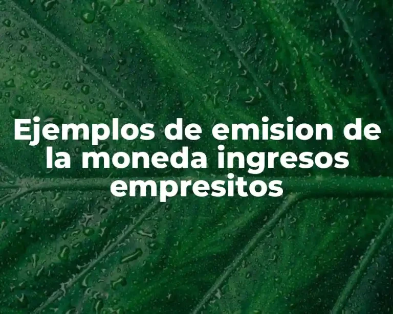 Ejemplos de emision de la moneda ingresos empresitos
