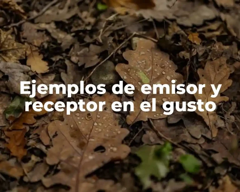 Ejemplos de emisor y receptor en el gusto