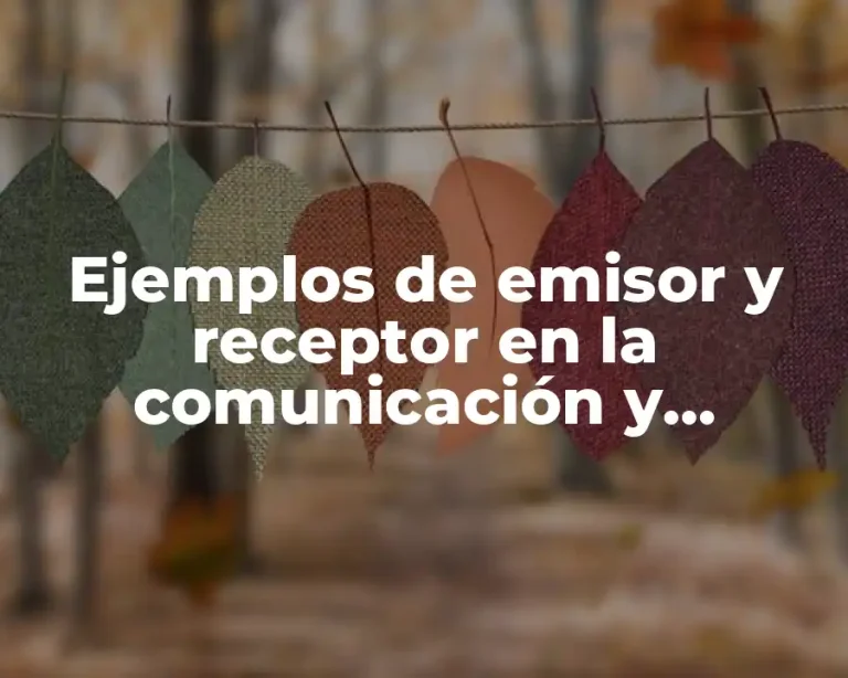 Ejemplos de emisor y receptor en la comunicación y Significado