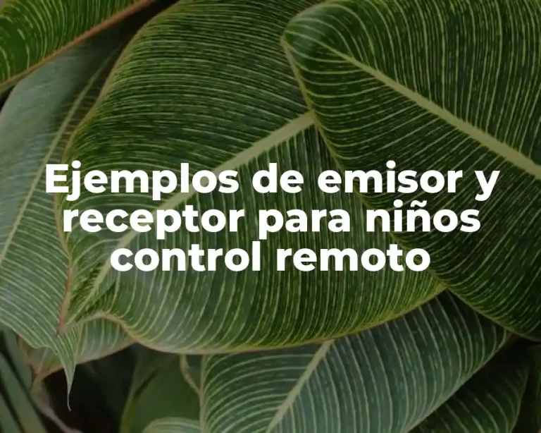 Ejemplos de emisor y receptor para niños control remoto