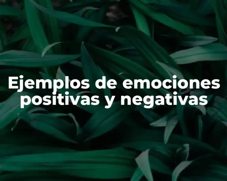 Ejemplos de emociones positivas y negativas