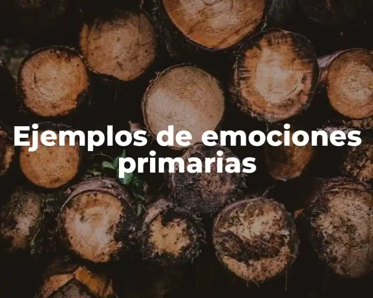 Ejemplos de emociones primarias