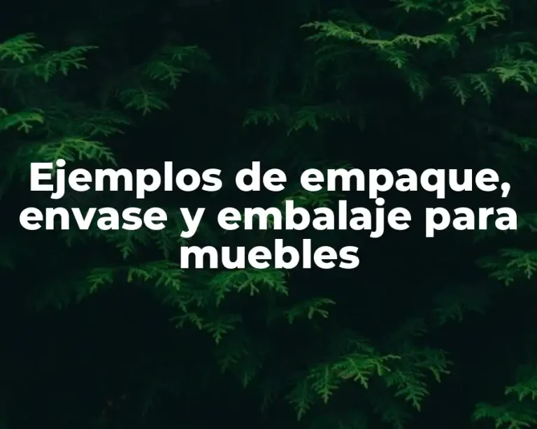 Ejemplos de empaque, envase y embalaje para muebles