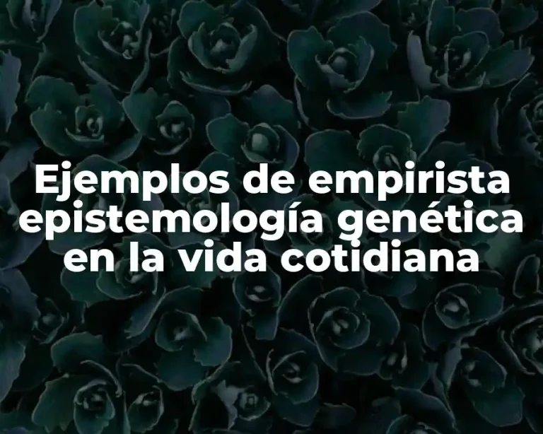 Ejemplos de empirista epistemología genética en la vida cotidiana