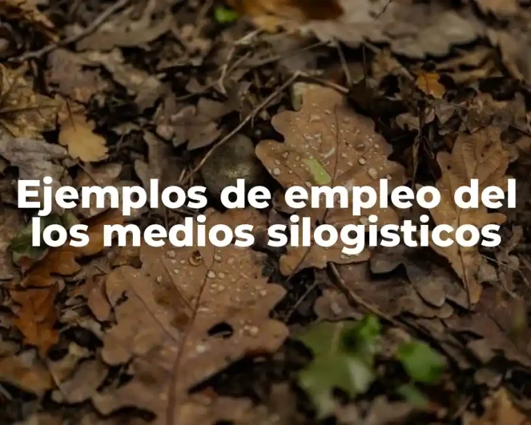 Ejemplos de empleo del los medios silogisticos