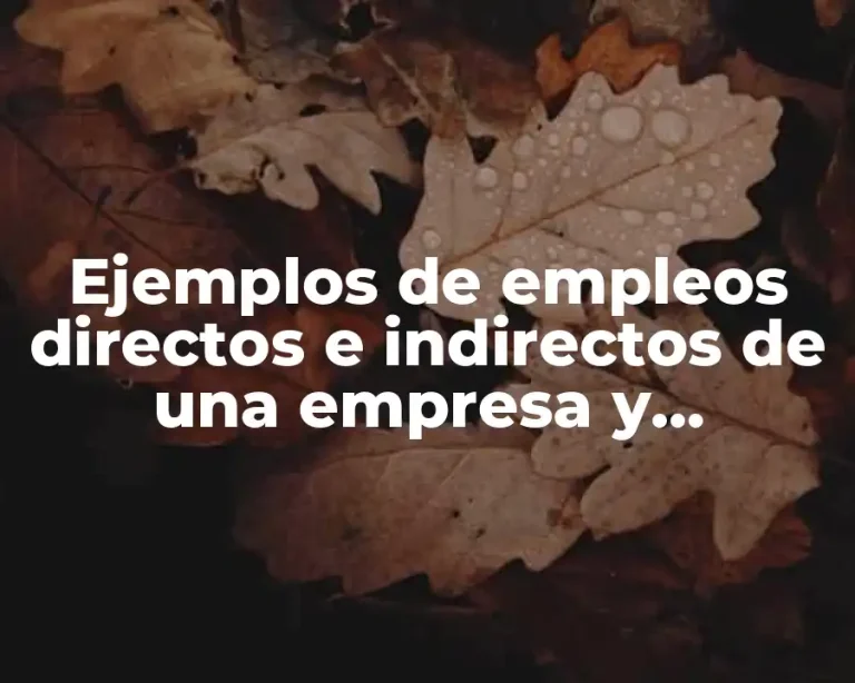Ejemplos de empleos directos e indirectos de una empresa y Significado