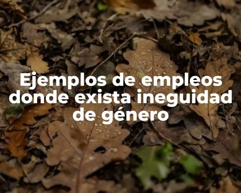 Ejemplos de empleos donde exista ineguidad de género