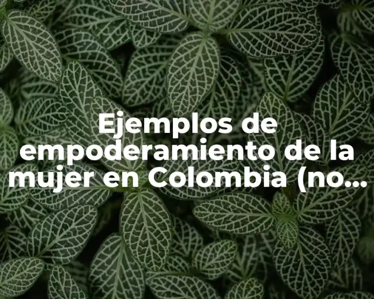 Ejemplos de empoderamiento de la mujer en Colombia (no agregar mas nada)