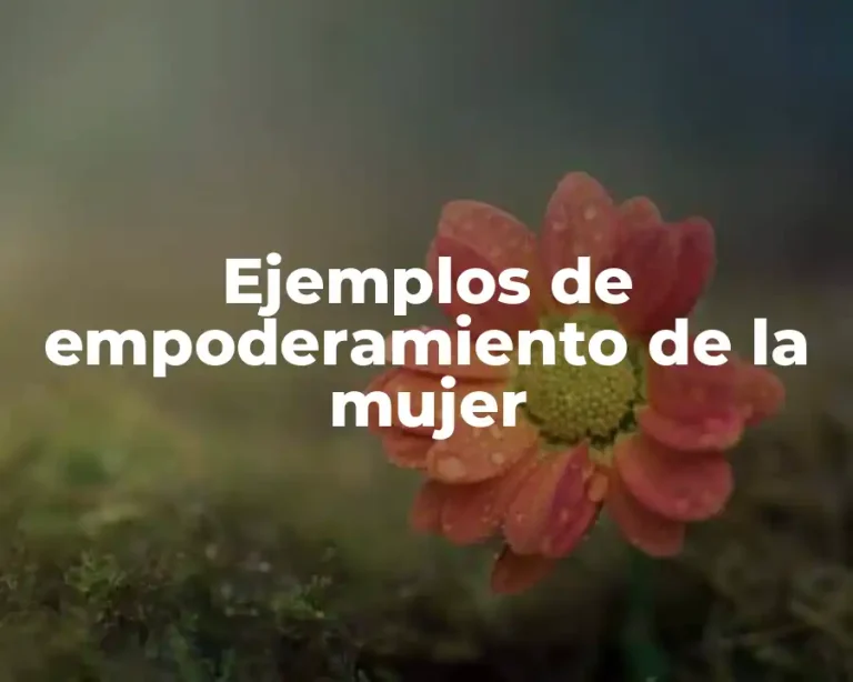 Ejemplos de empoderamiento de la mujer