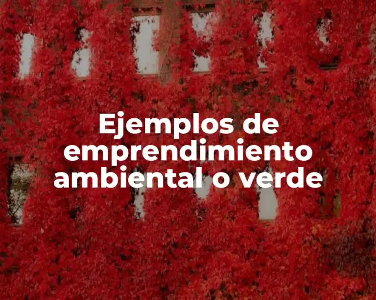 Ejemplos de emprendimiento ambiental o verde