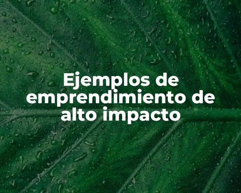 Ejemplos de emprendimiento de alto impacto