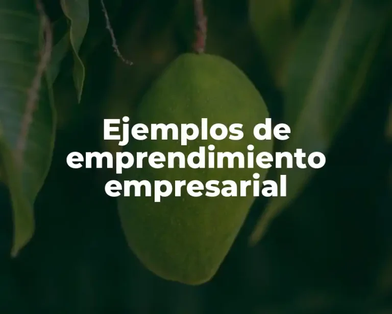 Ejemplos de emprendimiento empresarial
