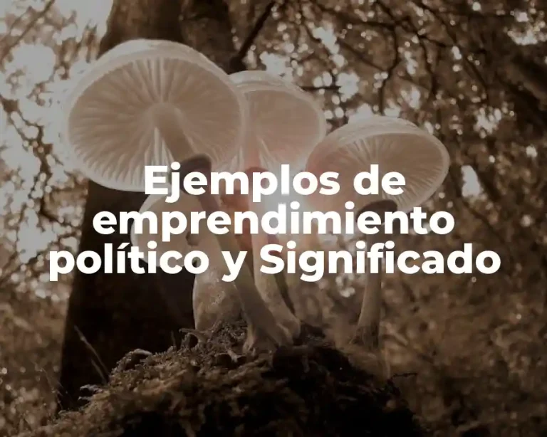 Ejemplos de emprendimiento político y Significado