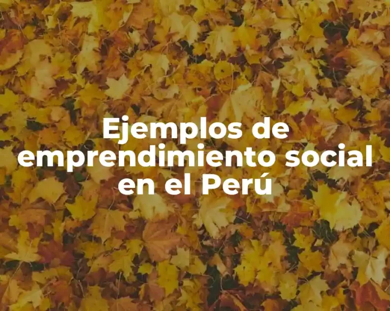 Ejemplos de emprendimiento social en el Perú