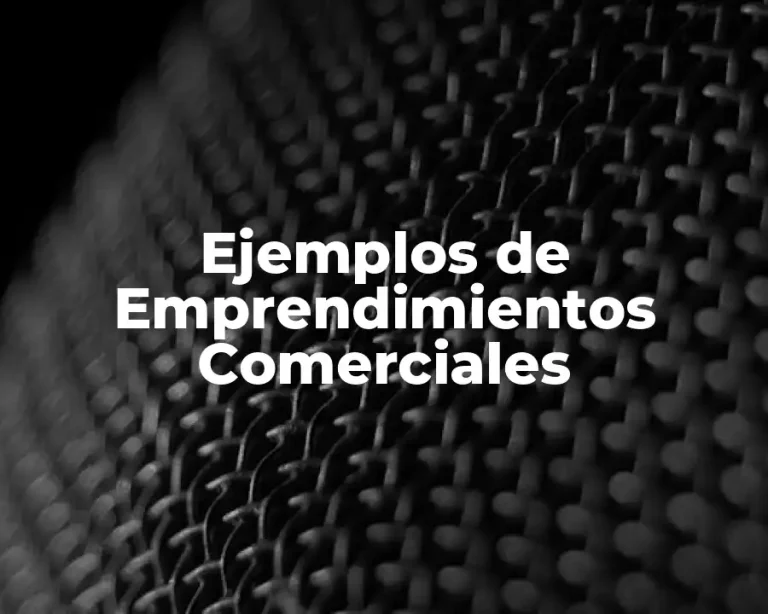 Ejemplos de Emprendimientos Comerciales