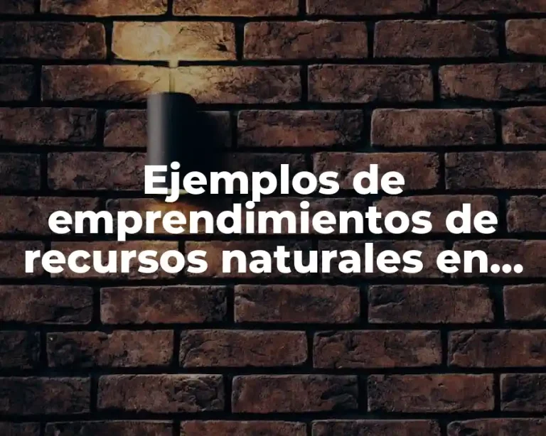 Ejemplos de emprendimientos de recursos naturales en Ecuador