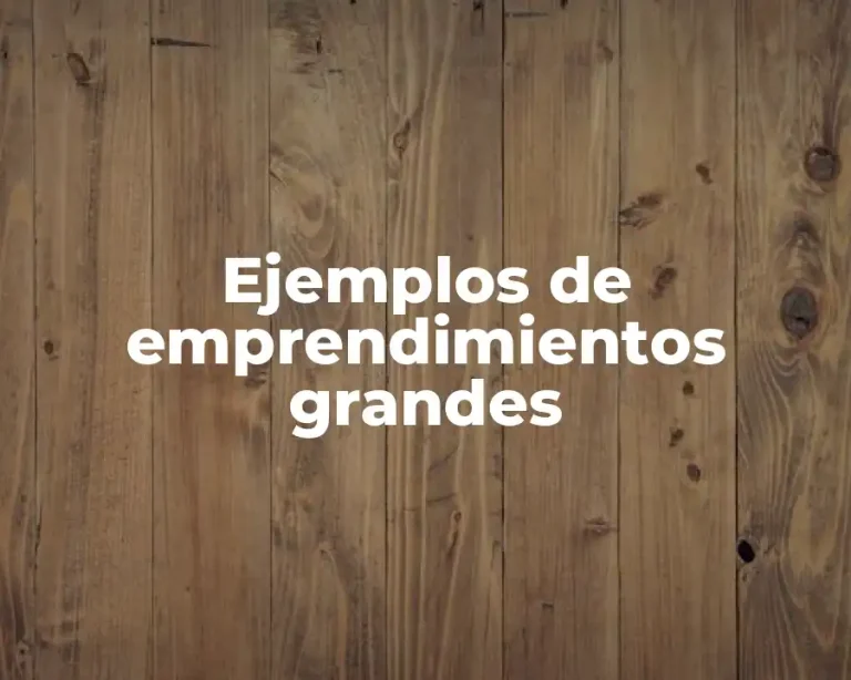 Ejemplos de emprendimientos grandes