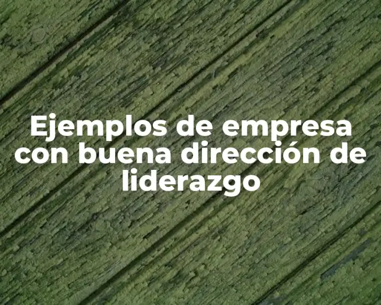 Ejemplos de empresa con buena dirección de liderazgo