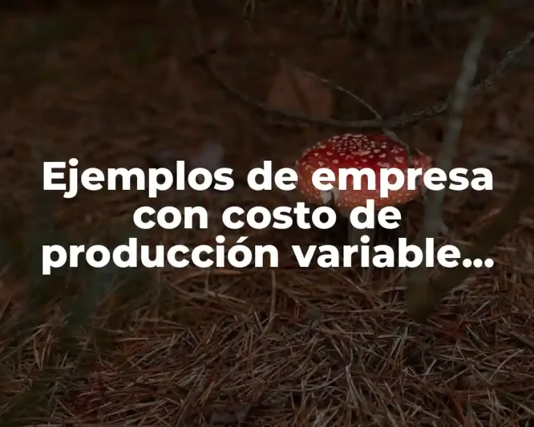 Ejemplos de empresa con costo de producción variable inversamente