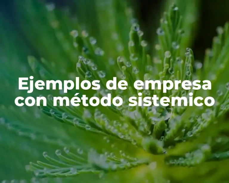 Ejemplos de empresa con método sistemico