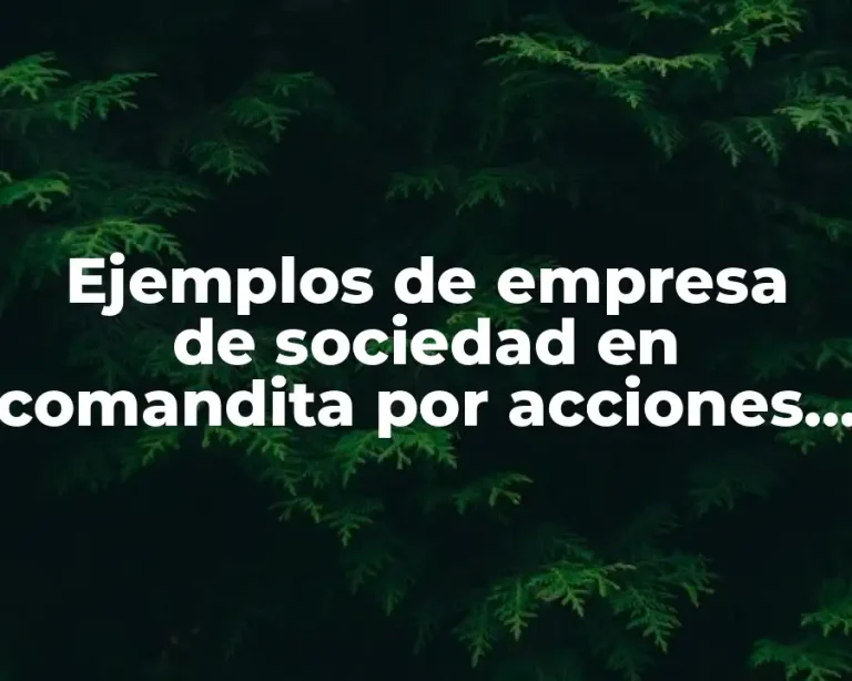 Ejemplos de empresa de sociedad en comandita por acciones y Significado