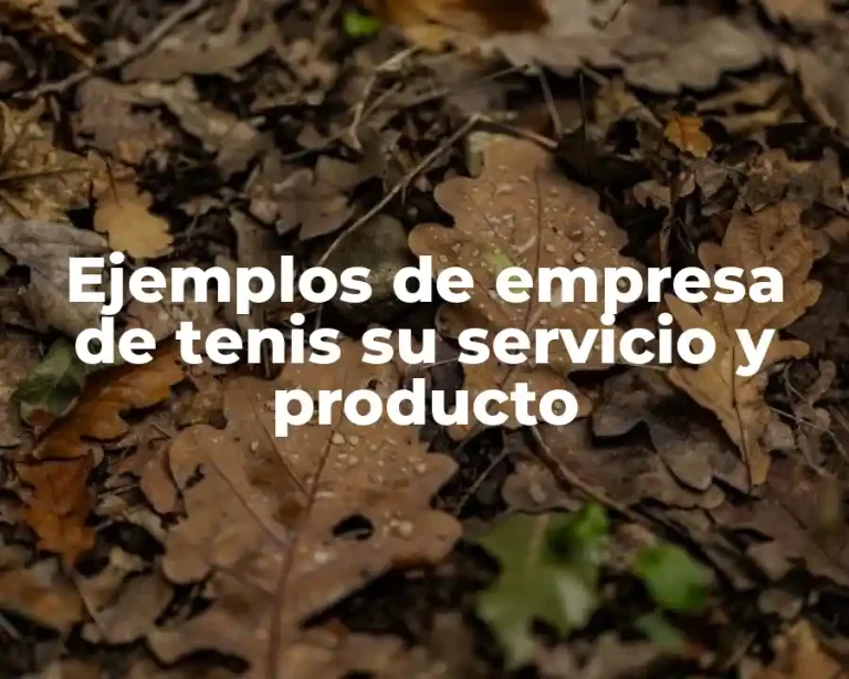 Ejemplos de empresa de tenis su servicio y producto