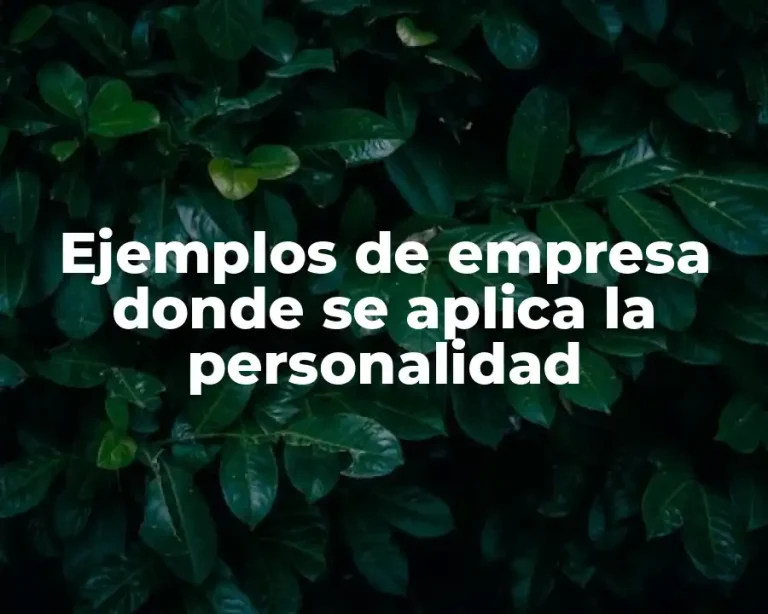 Ejemplos de empresa donde se aplica la personalidad