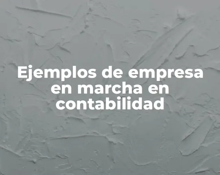 Ejemplos de empresa en marcha en contabilidad