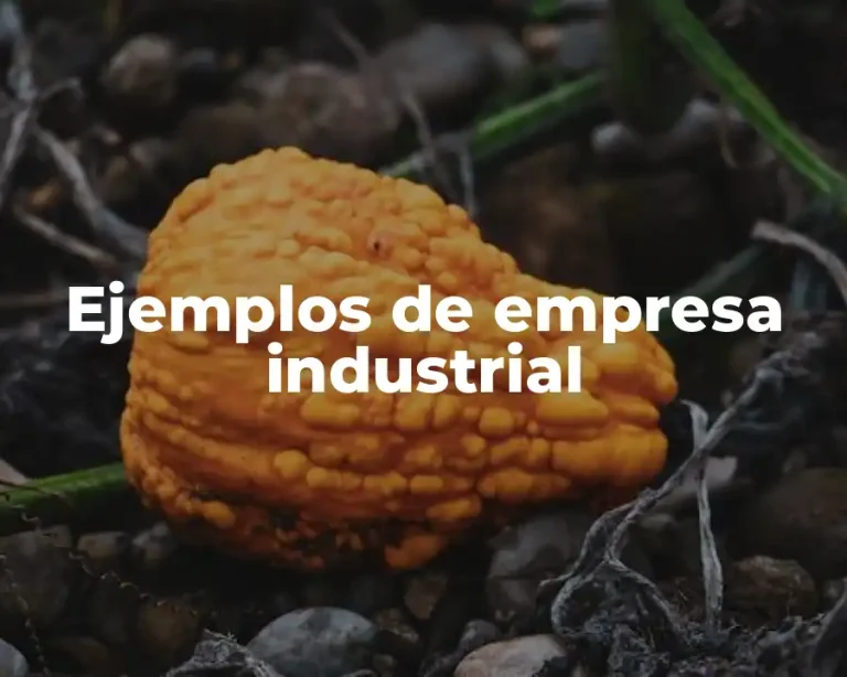 Ejemplos de empresa industrial