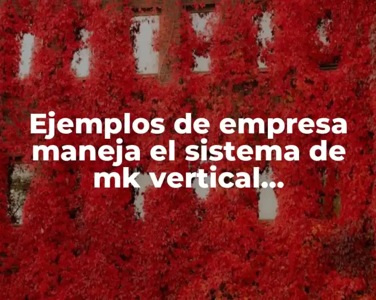 Ejemplos de empresa maneja el sistema de mk vertical administrado