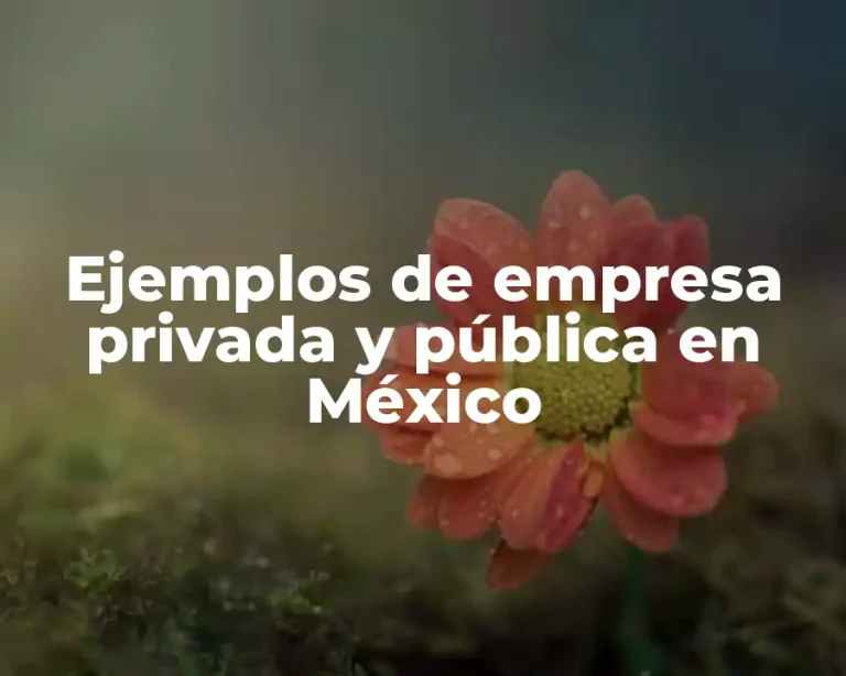 Ejemplos de empresa privada y pública en México