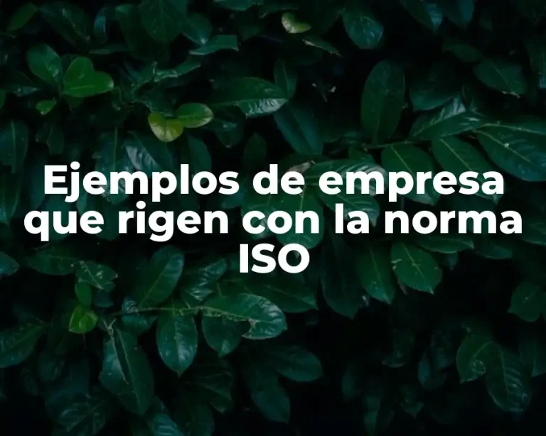 Ejemplos de empresa que rigen con la norma ISO