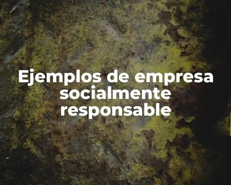 Ejemplos de empresa socialmente responsable