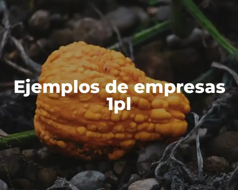 Ejemplos de empresas 1pl